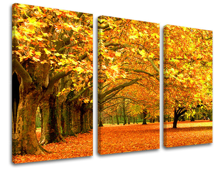 Τοιχογραφία 3 τμημάτων TREES ST010E30