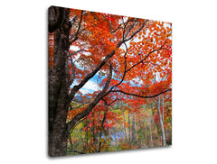 Ζωγραφική τοίχου TREES ST012E12