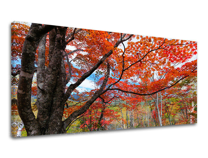 Ζωγραφική τοίχου PANORAMA TREES ST012E13