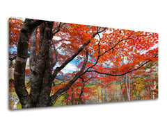 Ζωγραφική τοίχου PANORAMA TREES ST012E13