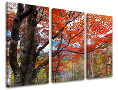 Τοιχογραφία 3 τμημάτων TREES ST012E30