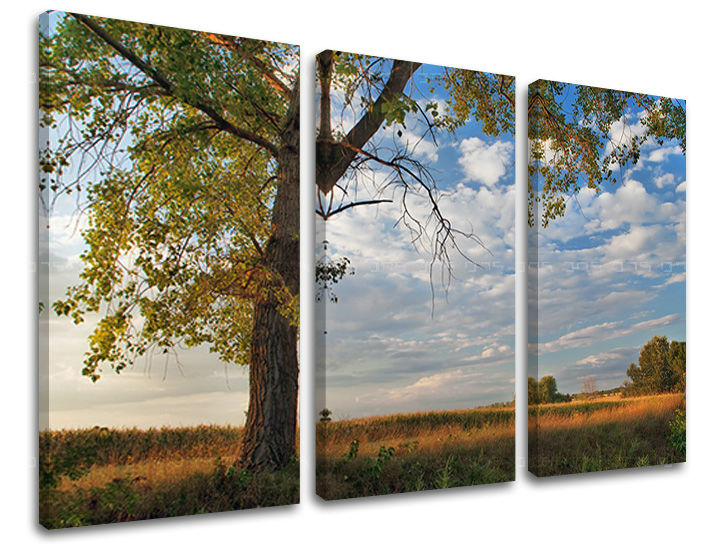 Τοιχογραφία 3 τμημάτων TREES ST016E30