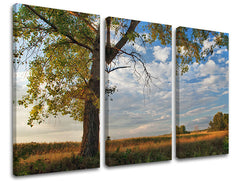 Τοιχογραφία 3 τμημάτων TREES ST016E30