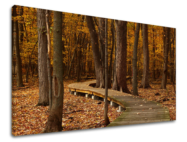 Ζωγραφική τοίχου TREES ST018E11