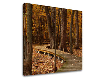 Ζωγραφική τοίχου TREES ST018E12