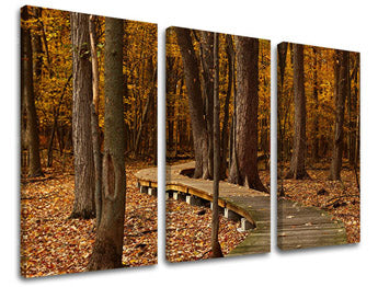 Τοιχογραφία 3 τμημάτων TREES ST018E30