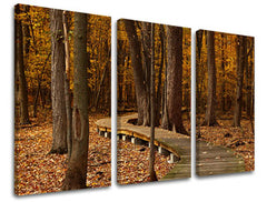 Τοιχογραφία 3 τμημάτων TREES ST018E30