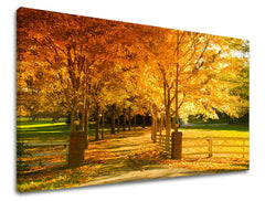 Ζωγραφική τοίχου TREES ST020E11