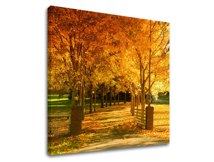 Ζωγραφική τοίχου TREES ST020E12