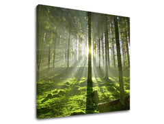 Ζωγραφική τοίχου TREES ST021E12