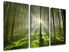 Τοιχογραφία 3 τμημάτων TREES ST021E30