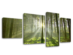 Ζωγραφική τοίχου 4 τμημάτων TREES ST021E40