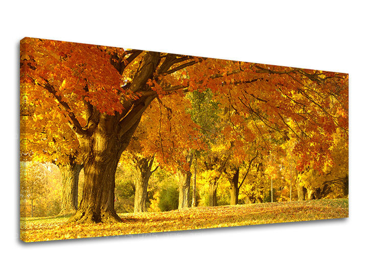 Τοιχογραφία PANORAMA TREES ST022E13