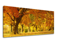 Τοιχογραφία PANORAMA TREES ST022E13