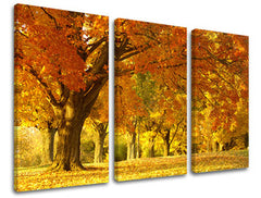 Τοιχογραφία 3 τμημάτων TREES ST022E30