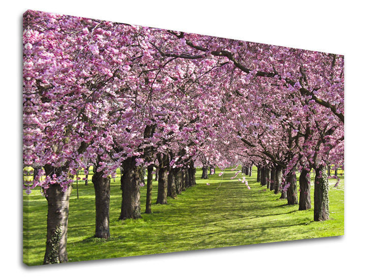 Ζωγραφική τοίχου TREES ST023E11