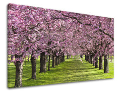 Ζωγραφική τοίχου TREES ST023E11