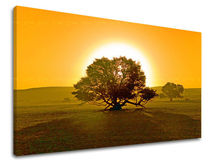 Ζωγραφική τοίχου ΔΕΝΔΡΑ