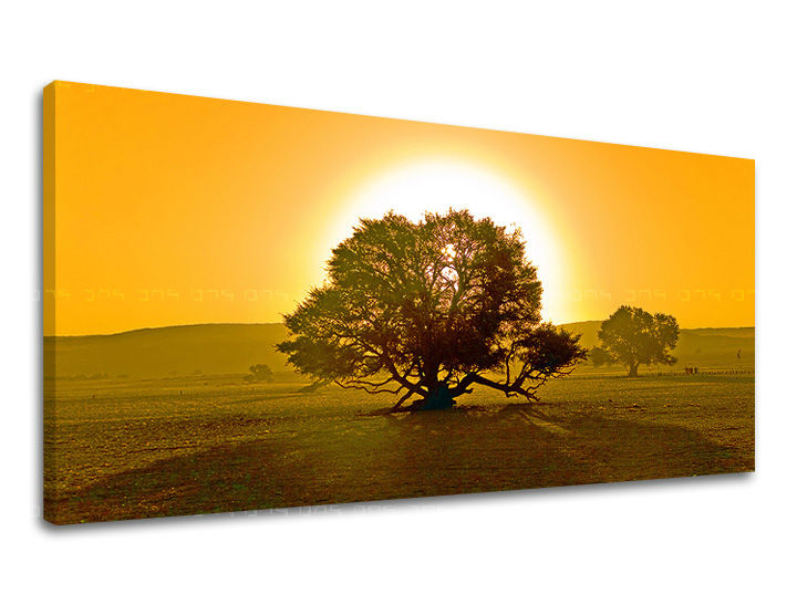 Τοιχογραφία PANORAMA TREES ST024E13