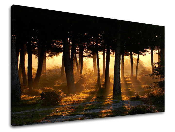 Ζωγραφική τοίχου TREES ST025E11