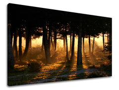 Ζωγραφική τοίχου TREES ST025E11