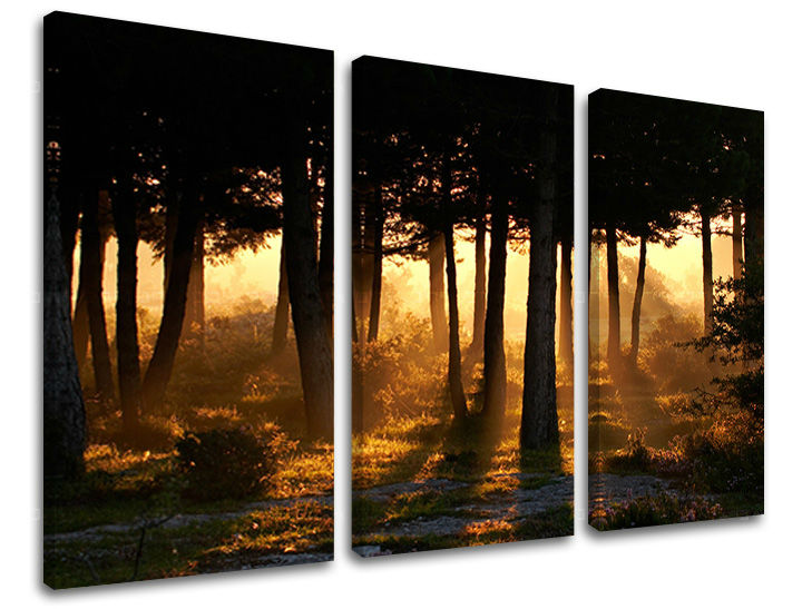 Τοιχογραφία 3 τμημάτων TREES ST025E30