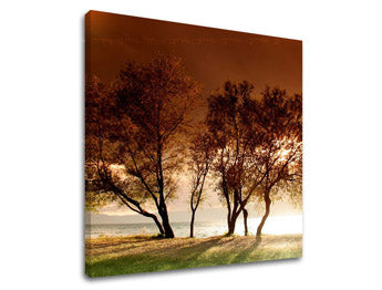 Ζωγραφική τοίχου TREES ST026E12