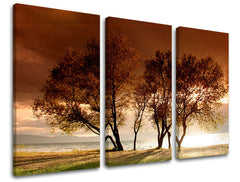 Τοιχογραφία 3 τμημάτων TREES ST026E30