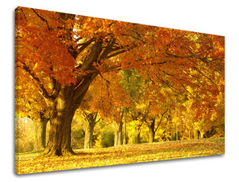 Ζωγραφική τοίχου TREES ST027E11