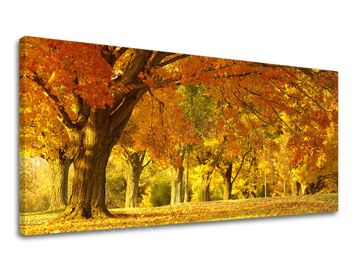 Τοιχογραφία PANORAMA TREES ST027E13