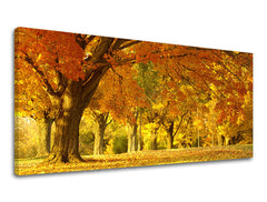 Τοιχογραφία PANORAMA TREES ST027E13