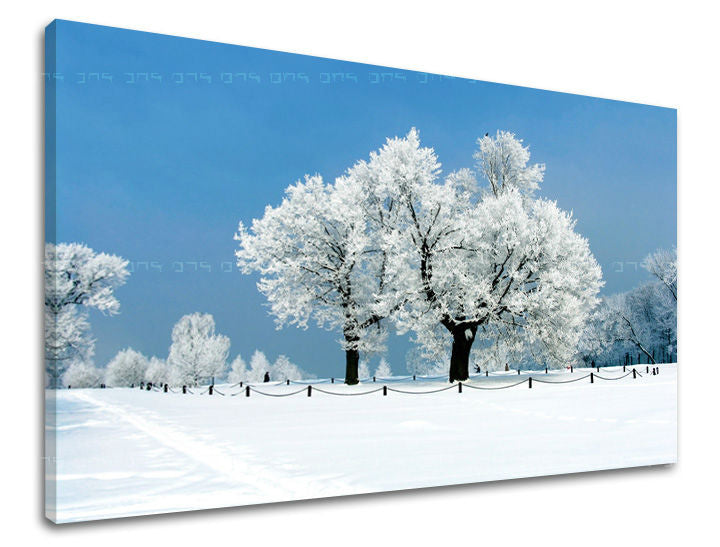 Ζωγραφική τοίχου TREES ST028E11