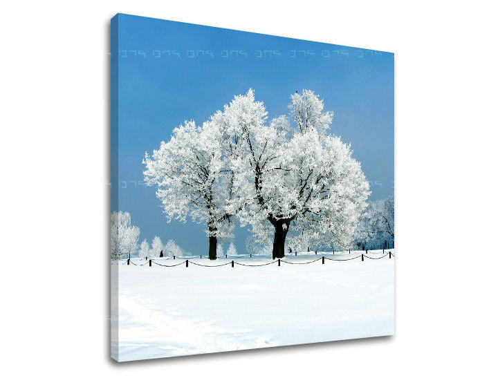 Ζωγραφική τοίχου TREES ST028E12