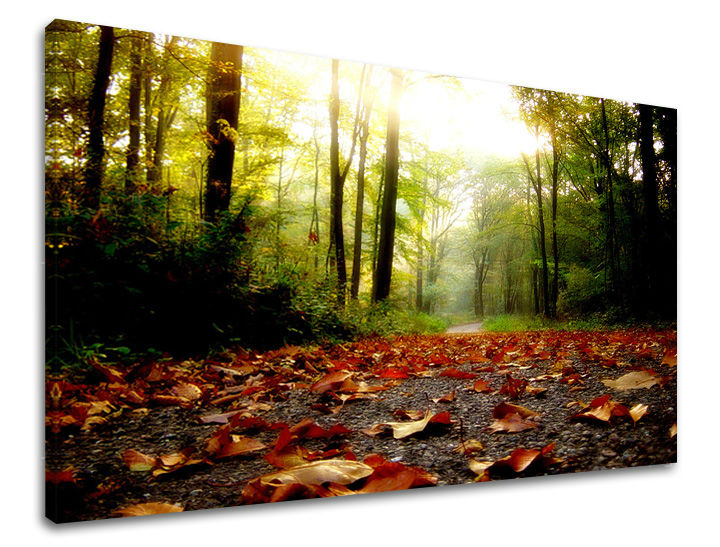 Ζωγραφική τοίχου TREES ST029E11