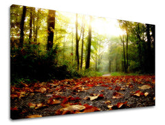 Ζωγραφική τοίχου TREES ST029E11