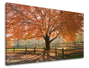 Ζωγραφική τοίχου TREES ST030E11