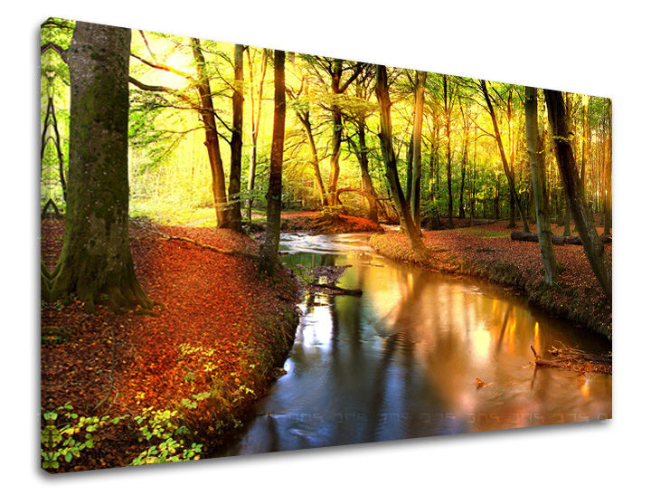 Ζωγραφική τοίχου TREES ST032E11