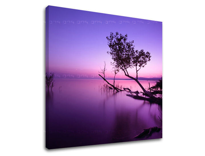 Ζωγραφική τοίχου WEST WEST SLNKA ZS006E12