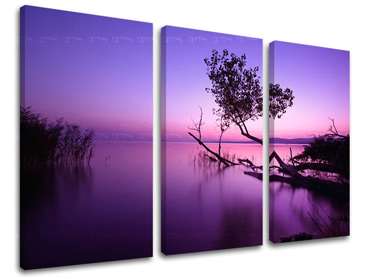 Βαφή τοίχου 3 μέρη WEST SLNKA ZS006E30