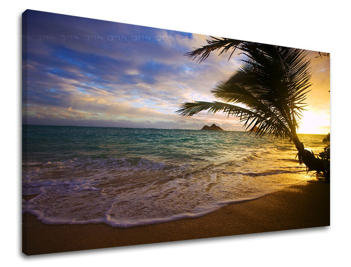 Ζωγραφική τοίχου WEST WEST SLNKA ZS014E11