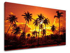 Ζωγραφική τοίχου WEST WEST SLNKA ZS019E11