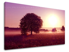 Ζωγραφική τοίχου WEST WEST SLNKA ZS020E11