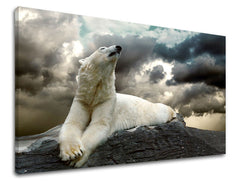 Ζωγραφική τοίχου ΖΩΑ ZV001E11