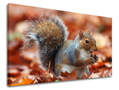 Ζωγραφική τοίχου ΖΩΑ ZV002E11