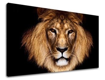 Ζωγραφική τοίχου ΖΩΑ ZV009E11