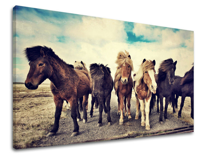 Ζωγραφική τοίχου ΖΩΑ ZV016E11