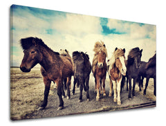 Ζωγραφική τοίχου ΖΩΑ ZV016E11