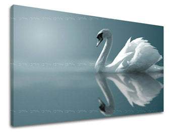 Ζωγραφική τοίχου ΖΩΑ ZV024E11