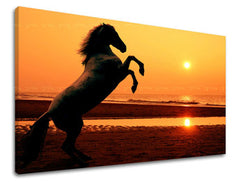 Ζωγραφική τοίχου ΖΩΑ ZV026E11