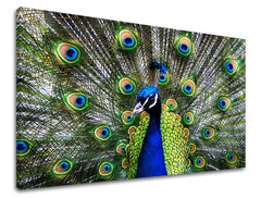 Ζωγραφική τοίχου ΖΩΑ - εικόνα 2